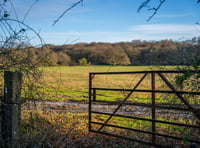 Public meeting on new woodland near Okehampton