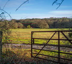 Public meeting on new woodland near Okehampton