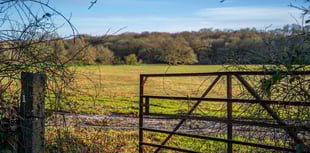 Public meeting on new woodland near Okehampton