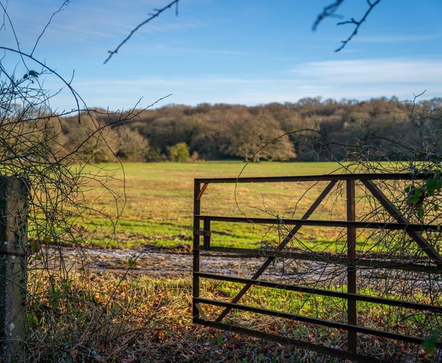 Public meeting on new woodland near Okehampton