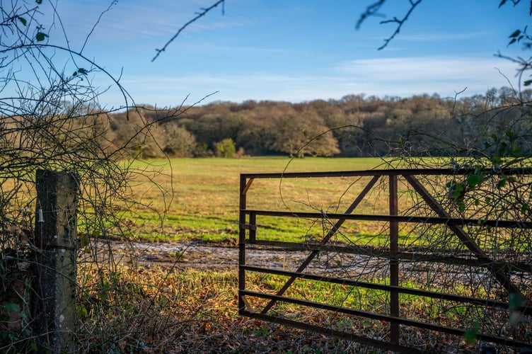 The site for the new Okement Wood near Okehampton.