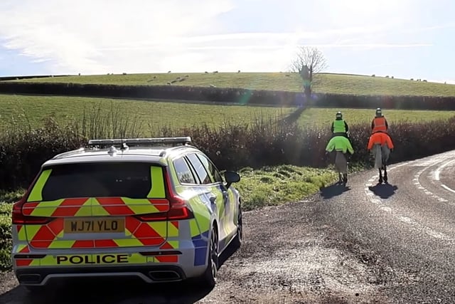 Horse sense for sharing the highways safely 