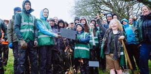 Tree-mendous landmark for arboreal charity