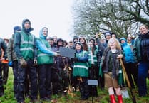 Tree-mendous landmark for arboreal charity