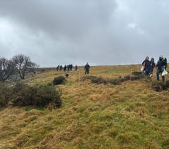Hundreds of trees planted to expand temperate rainforest on Dartmoor
