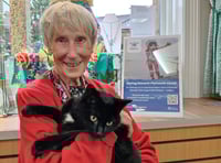 Volunteering is good for your health