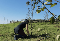 Successful garden maintenance franchise territory for sale