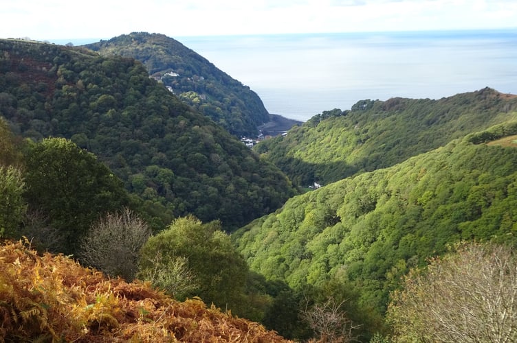 Journey’s end: the valley of the East Lyn in October.
