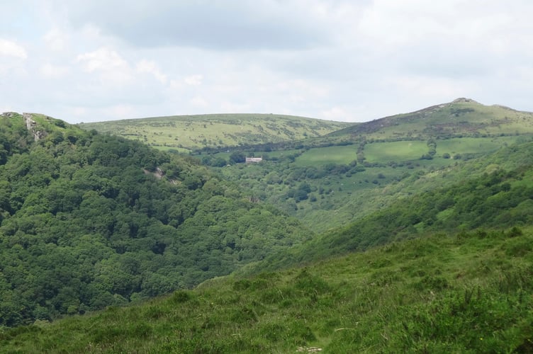                  The wooded Dart Valley, looking upstream: Bench Tor (left) and Sharp Tor (right).
              