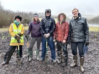 Sourton Cross gets its own tiny forest in National Highways first