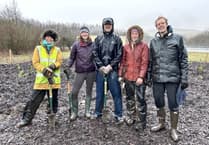 Sourton Cross services gets its own miniature forest in National Highways first