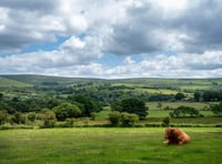 Rising costs hit Devon farms hard