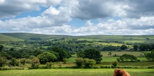 Rising costs hit Devon farms hard