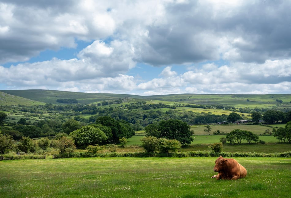 Rising costs hit Devon farms hard