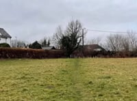 Land shortage forces approval of  20 homes in West Devon village


