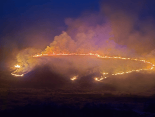 Dartmoor fire was accidental, says fire service