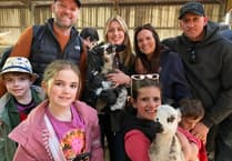 Families embrace lambs at Meavy farm open day