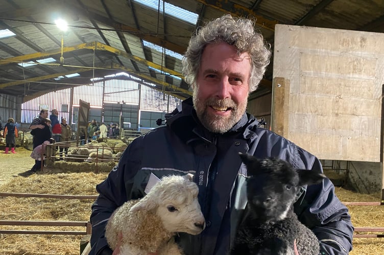 Farmer Mat Cole welcoming two new lambs at his Greenwell Farm public lambing event near Meavy.