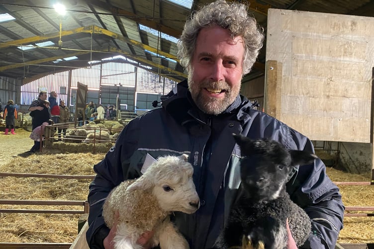 Farmer Mat Cole welcoming two new lambs at his Greenwell Farm public lambing event near Meavy.