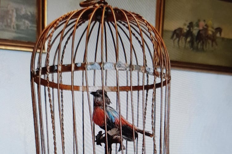 Fenella XXX's unrestored treasured tweeting mechanical bird before restoration by the BBC Repair Cafe team.