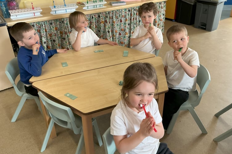 Buckland Monachorum primary pupils brush up on their teeth hygiene.