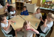 Buckland Monachorum pupils brush up on dental hygiene