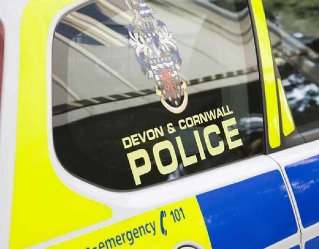 Car crashes into railings on Dolvin Road