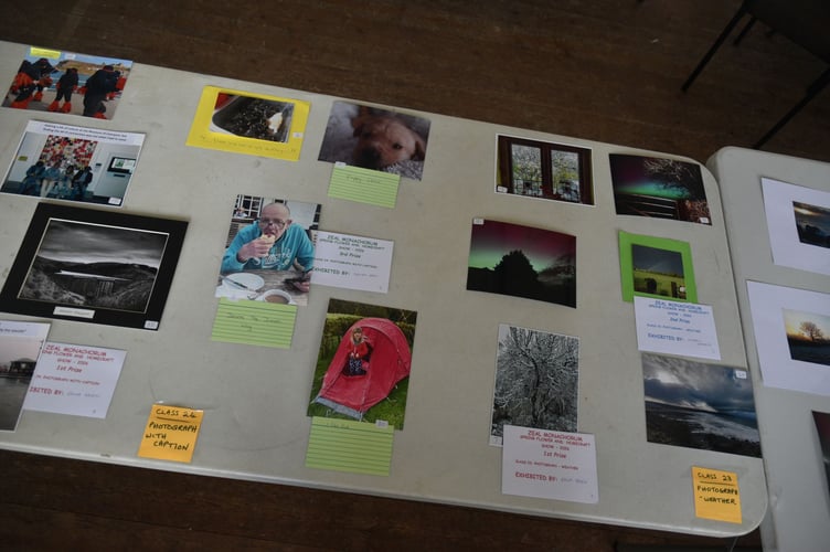 Photo exhibit entries at Zeal Spring Show.
