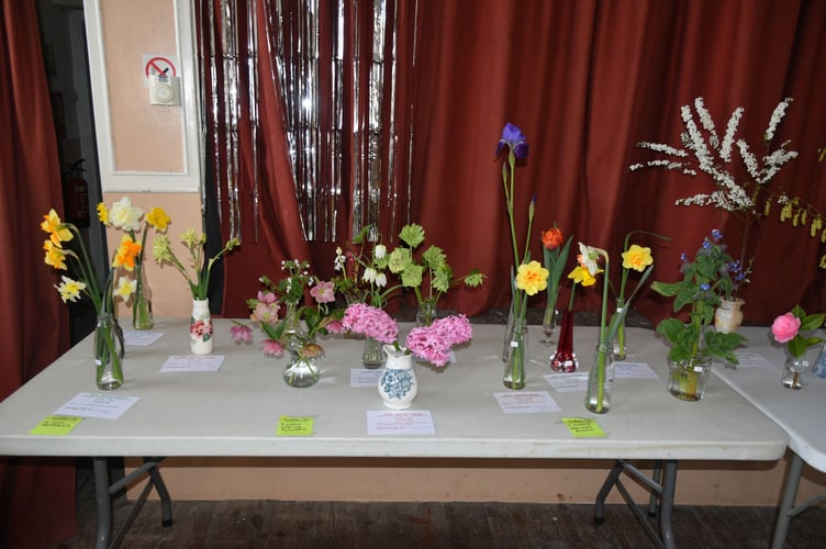 Floral exhibits at Zeal Spring Show.  Photos: Helen Hall
