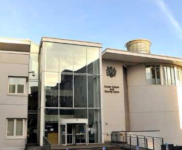 Devon sex offender jailed for 12 years