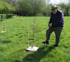 West Devon green spaces flourish with charity's tree donation