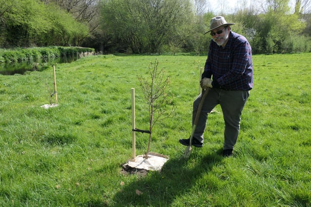 West Devon green spaces flourish with charity's tree donation