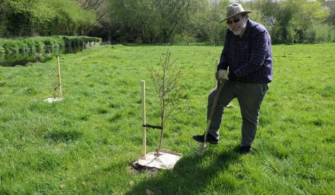 West Devon green spaces flourish with charity's tree donation