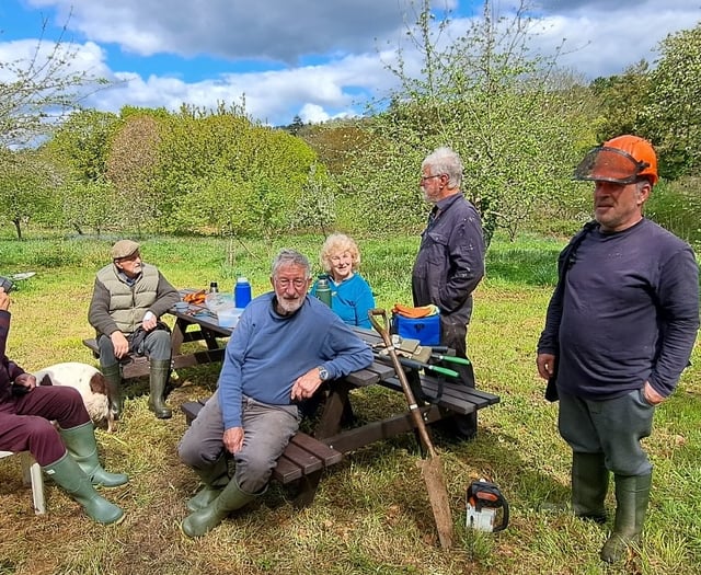 Bere Ferrers orchard hosting open afternoon