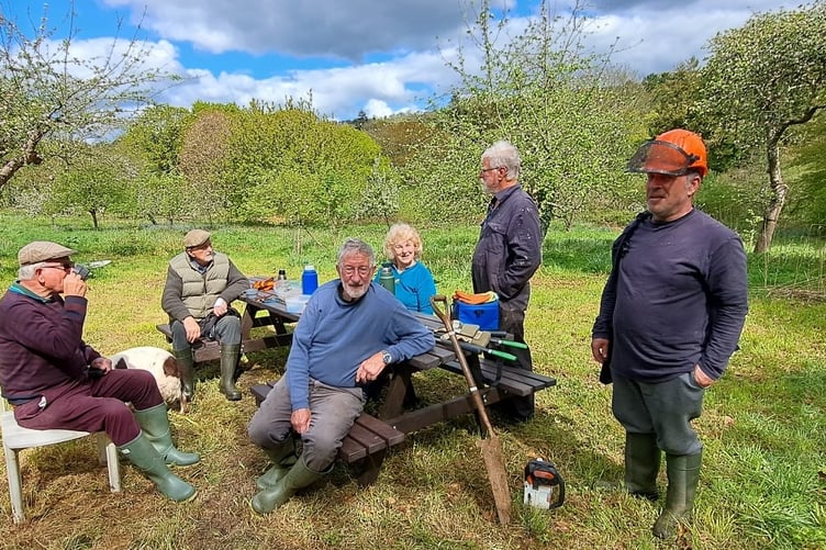 The Tavy & Tamar Apple Group is having a ceremonial opening of the newly-restored Bere Ferrers community orchard on Sunday, April 26.