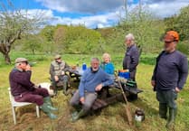Bere Ferrers orchard hosting open afternoon
