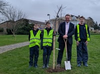 School plants trees to mark blossoming friendship