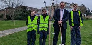 School plants trees to mark blossoming friendship