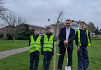 Tavistock school plants trees marking blossoming friendship