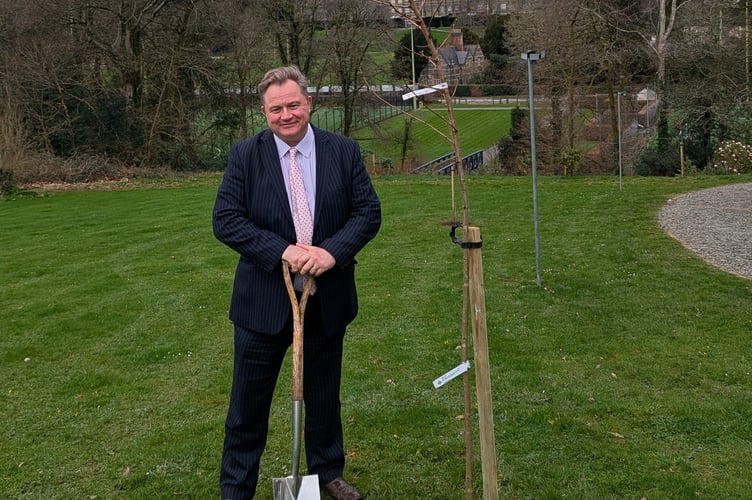 Mount Kelly headmaster Guy Ayling planting the Sakura cherry trees at Mount Kelly Prep.