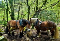 Festival celebrating Dartmoor on the horizon