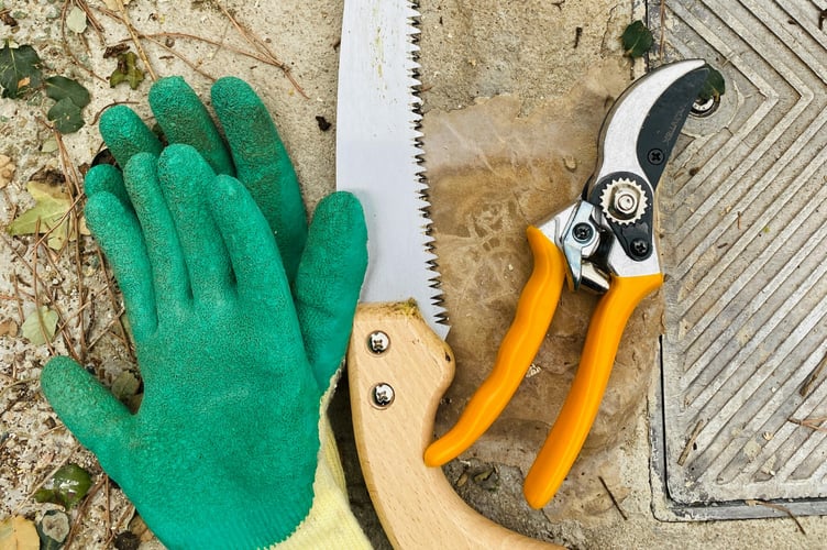 Take care in the garden this bank holiday weekend.