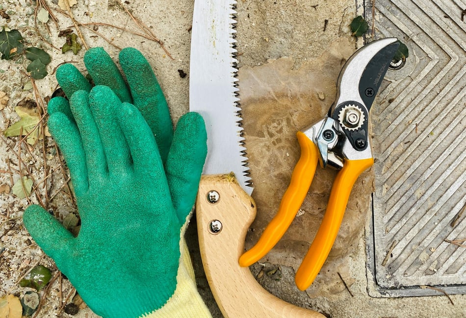 Dangers lurking in the garden ahead of bank holiday weekend