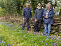 Family fun promised at bluebell open day 