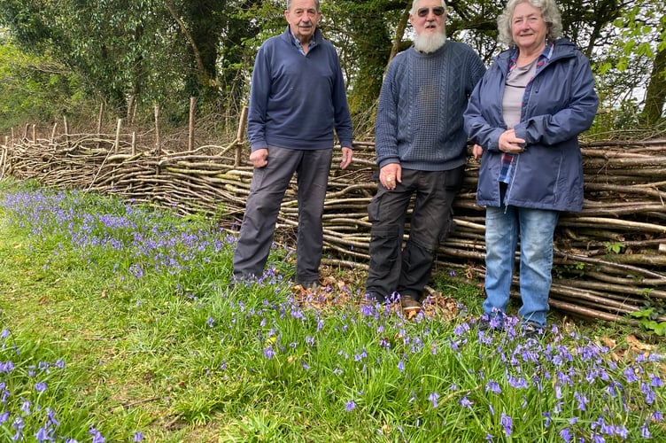 A special Bluebell Day for all the family is staged at a beautiful woodland at Clearbrook on Saturday, May 16.