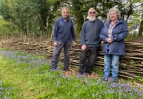 Clearbrook woodland bluebell open day