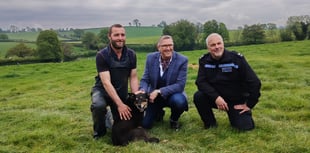 WATCH: Keep dogs on lead says TV's Mr Dog Father