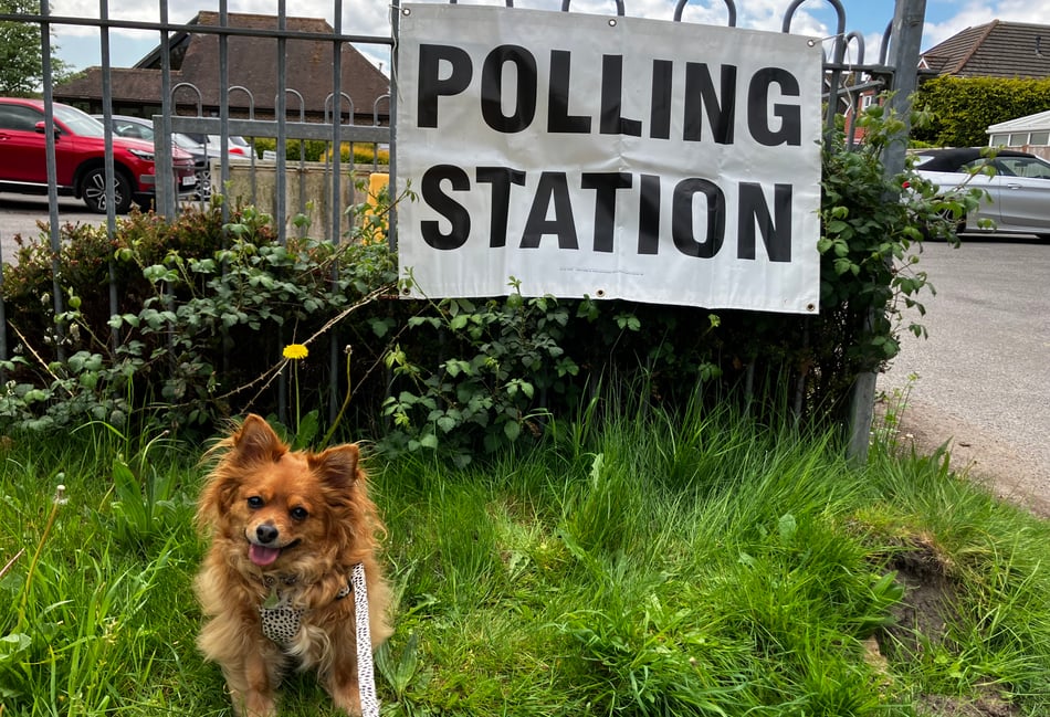 Kirstie Newton: Political shifts following local elections 