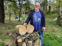 Churchyard volunteers get to work on invasive species