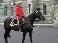 Horse-loving 'Mounties' needed to fight crime